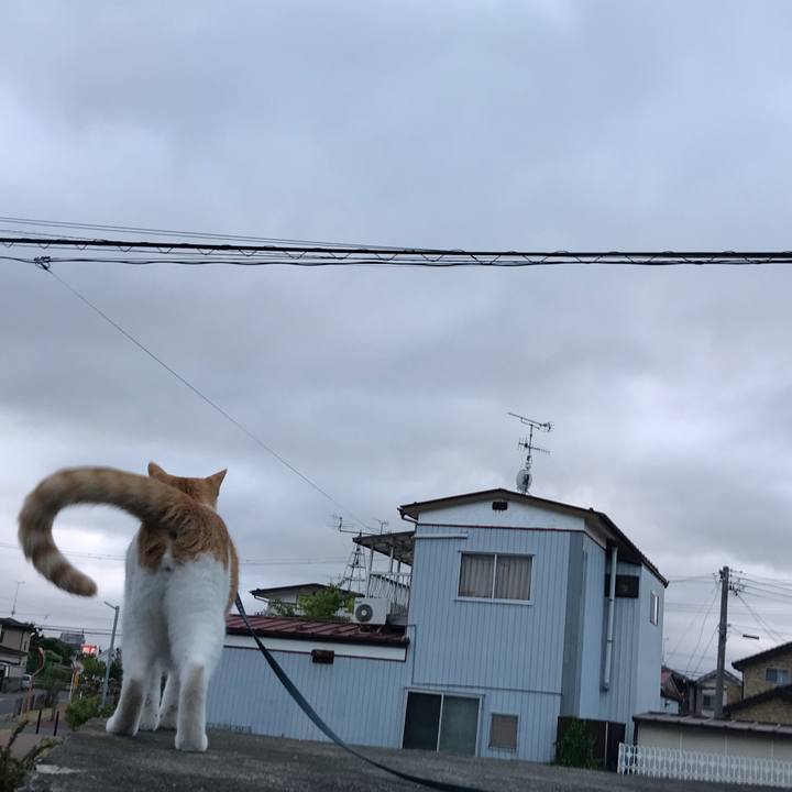 4cc4108b 3831 4ed3 9375 85468da20dd3 1532772945369