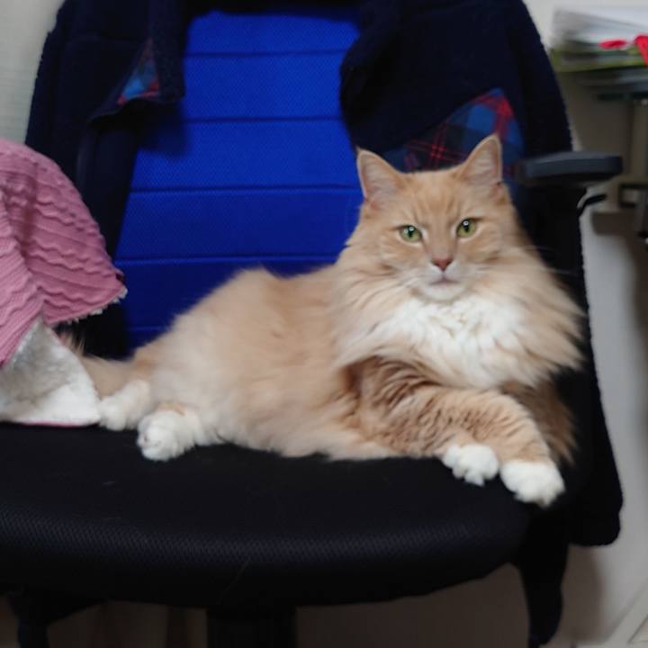 4cc41110 38a4 494e ae27 c168a92a2b5b 1647224374949