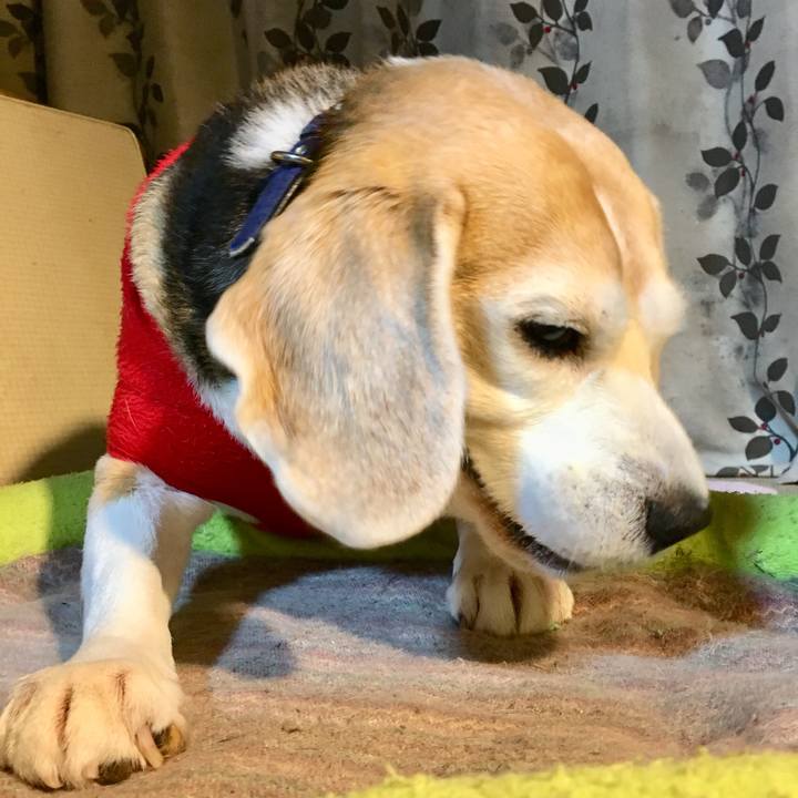 4cc42d15 24fb 4aab acb8 d56adb7d9c43 1739144034302