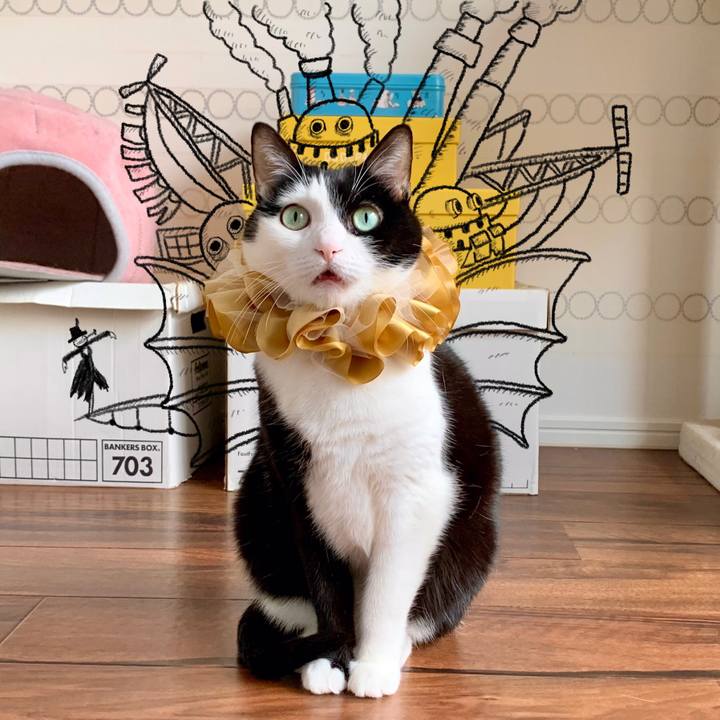 4cc48221 7807 4dcd a3f8 9dbeffe0d777 1617375516929