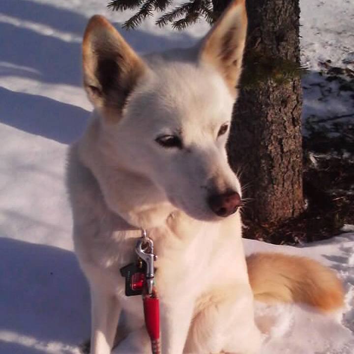 4cc485d5 7114 4a80 ac5b b454faae4cfa 1514291432838