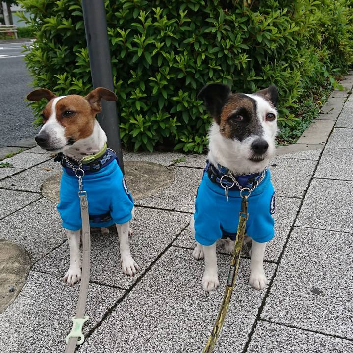 4cc49336 fa01 4a67 bc1b 588b64cf0b15 1591485544743