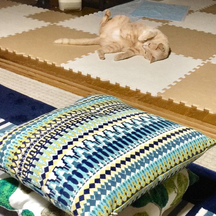 4cc4c2ea 0794 4b1c aff3 306b66fb89f8 1534931564346