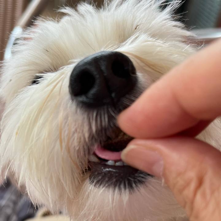 4cc4d836 30eb 4d27 83a9 077dd82db4b1 1757999465072