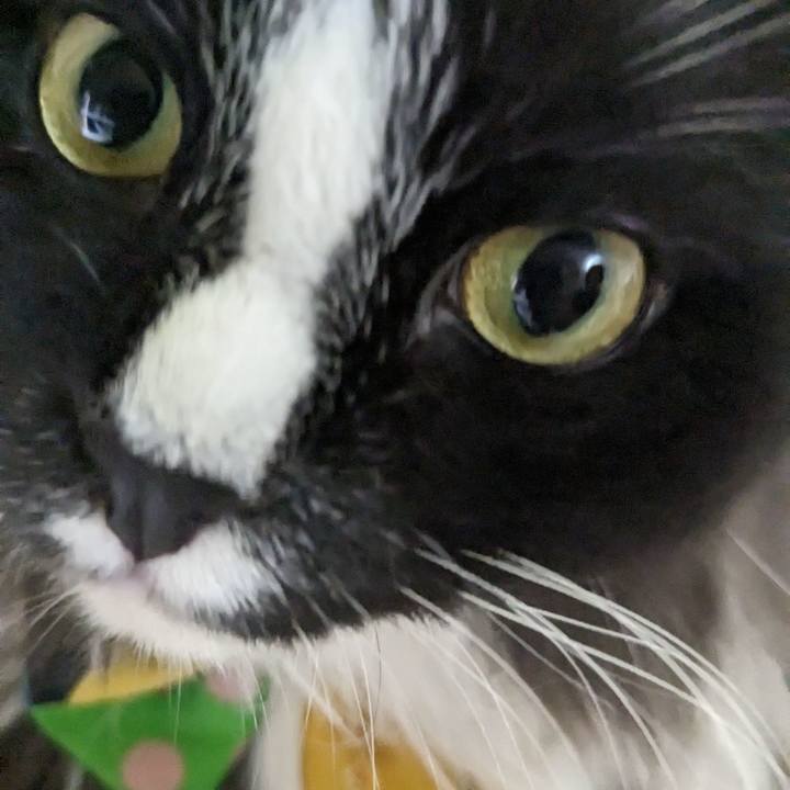 4cc4f7df 8573 4dcd 973d 4d26cc4f9c4b 1694219269772