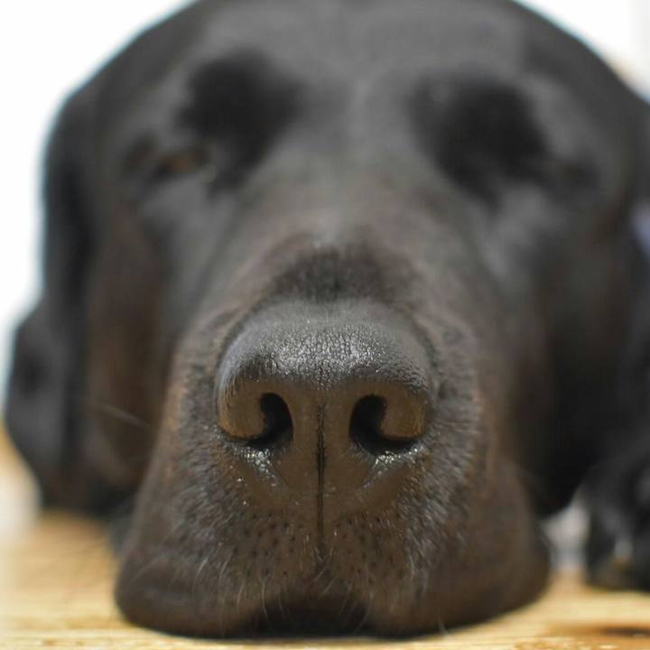 4cc51625 9bf7 4e23 9fc9 1634836a235d 1523534934863