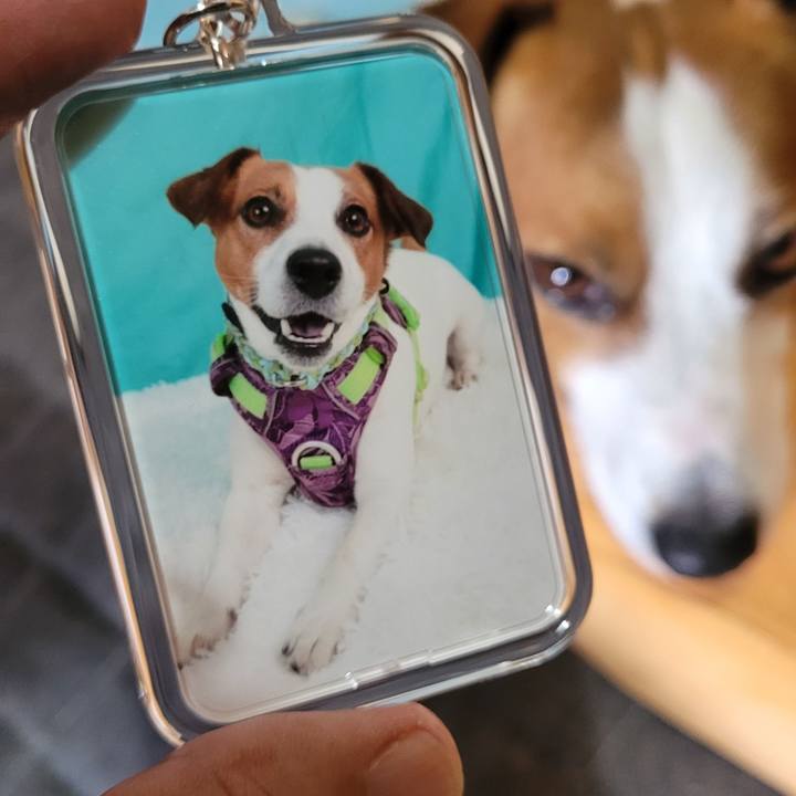 4cc51b64 6459 4168 831e 63907cf457d7 1719887976956