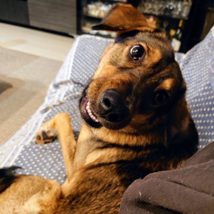 4cc55d2e 81c5 4f9e 9cc6 a9b28312c644 1702381955493