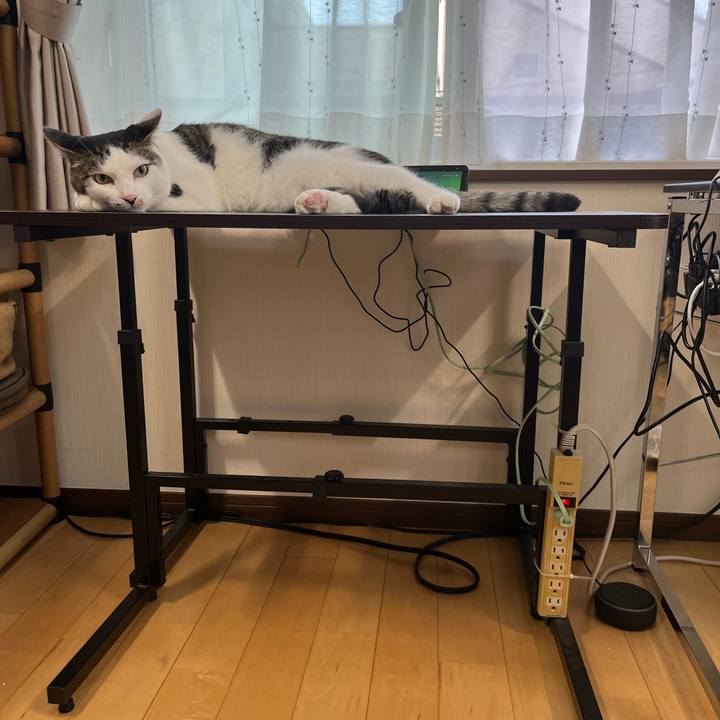 4cc578a4 7467 4bf6 be35 477ca73403f6 1719655763834