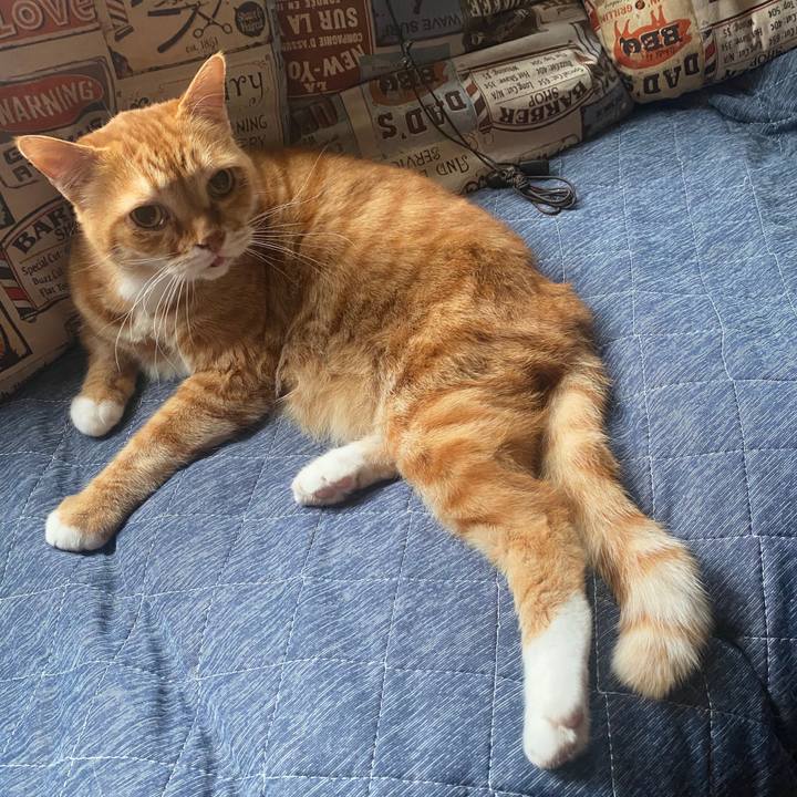 4cc57fea c511 40ac 98ba 5446fa70ca34 1587241181157