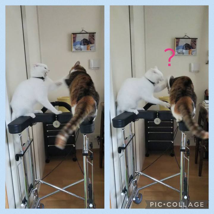 4cc58ca1 070a 45d5 a855 55d8e590d2e4 1663633557722