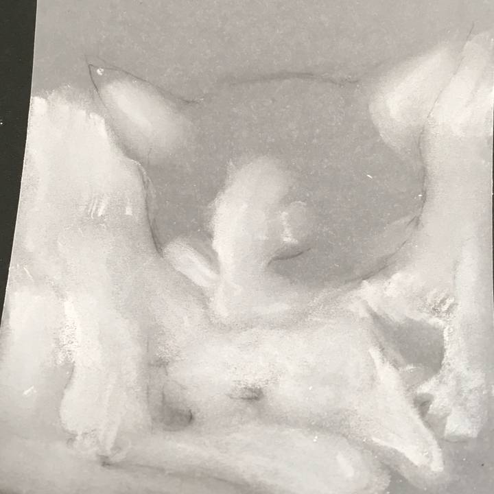 4cc58d08 f213 4b21 b2b7 da0683c77433 1579534033592