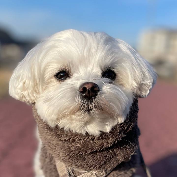 4cc5abb5 6186 4a0a a0f5 2d8831fbda44 1773701553465