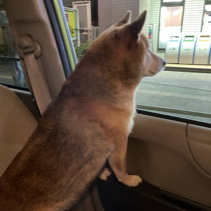 4cc5b15a f2a7 46c0 8d00 8f4bbf6f0657 1660219992744