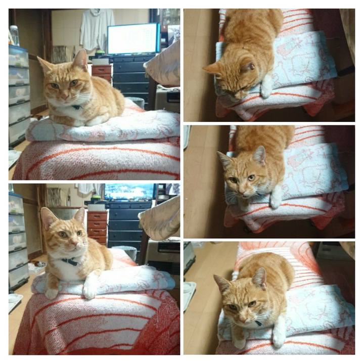 4cc5b565 e44b 4d95 af47 98126fb631eb 1603749963209