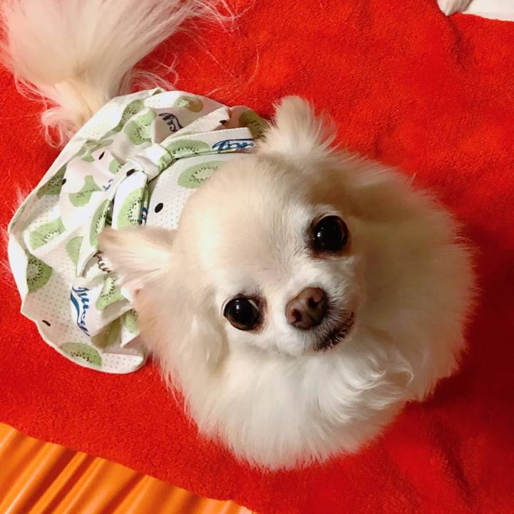 4cc5b796 3b64 4c95 80ca 87577a09a267 1590899966325