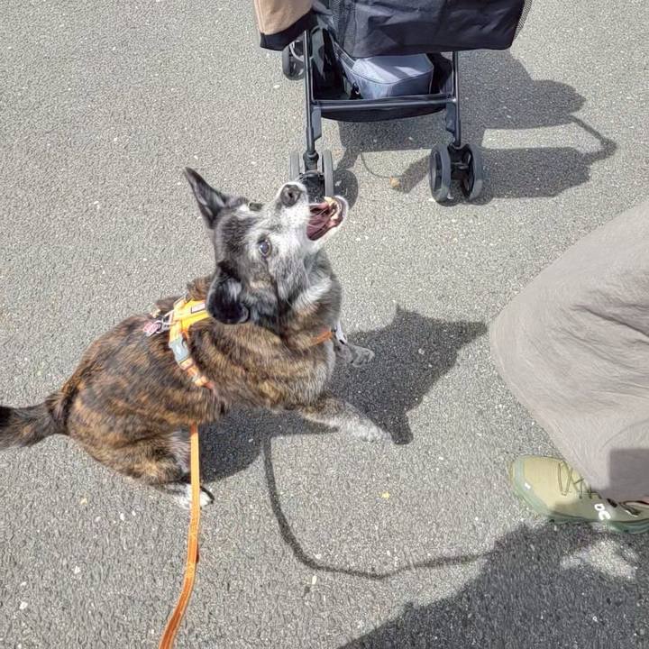 4cc5bdd5 c657 4ba3 9353 7e453ccc3259 1743768311806