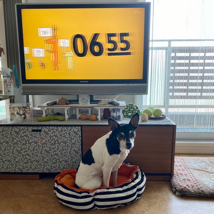 4cc5f3b2 a0e6 46e2 97cc 3ca8333d8814 1584655232007