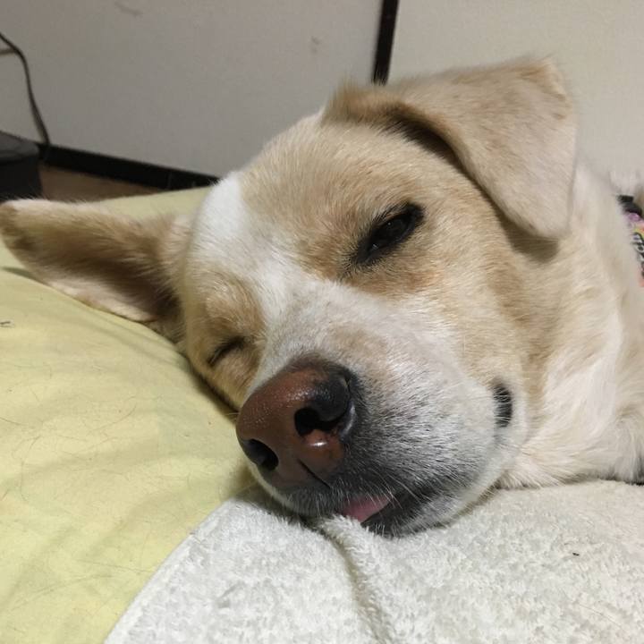 4cc657d9 3b2e 4561 8cc4 9ddc891beeda 1542116227971