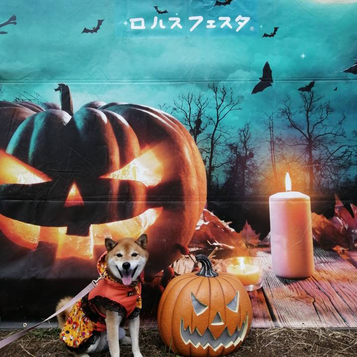 4cc67353 3db2 47af a773 ab13740c5d3d 1664622833361