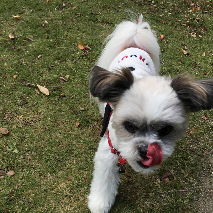 4cc682fb 491d 41c4 bc8a cf074f7ae92b 1511751806897