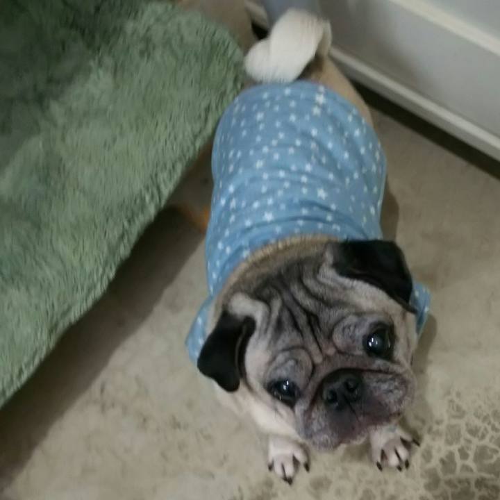 4cc6b286 b33a 4133 a531 9839ad6ef987 1542996010870