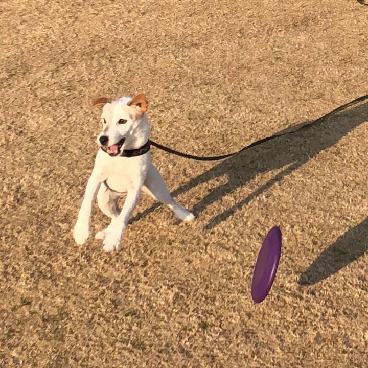 4cc70086 9686 442b 8a5e 7e5350813512 1516434129852