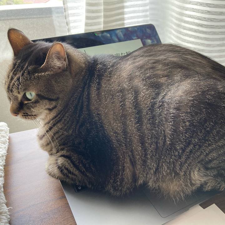 4cc70da7 b822 4426 99fa e201c7e7d811 1703384782101