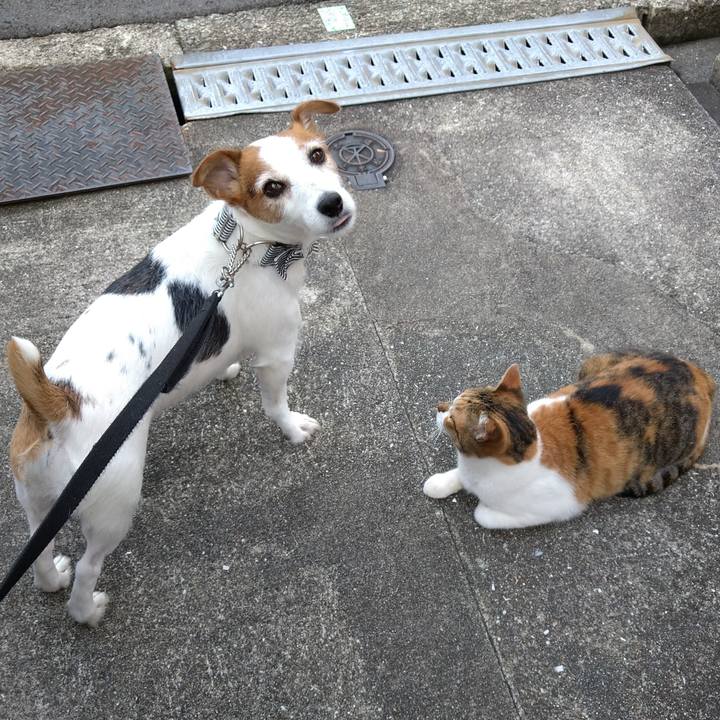 4cc7281f bf9b 4231 972d c3a6322983ad 1759141427270