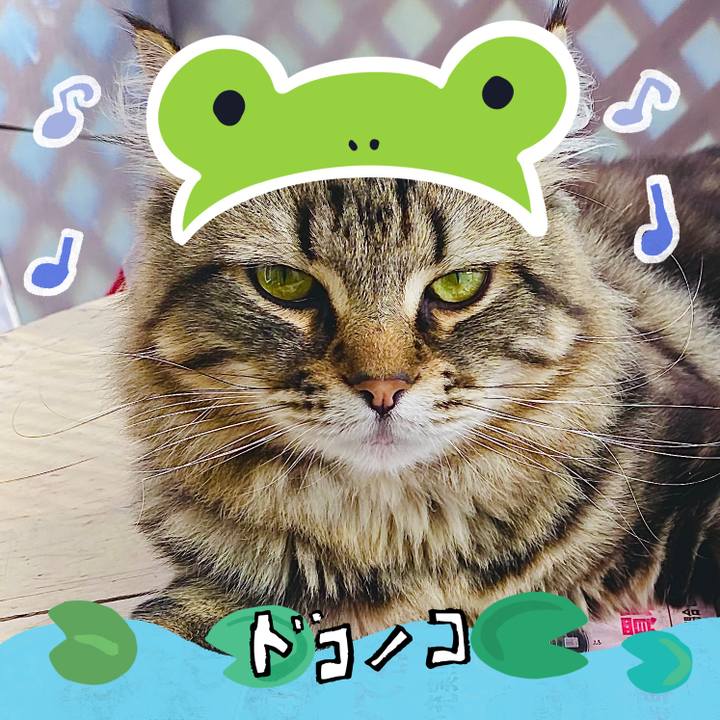 4cc72c5f b522 4861 909f 858488a57976 1717998310833