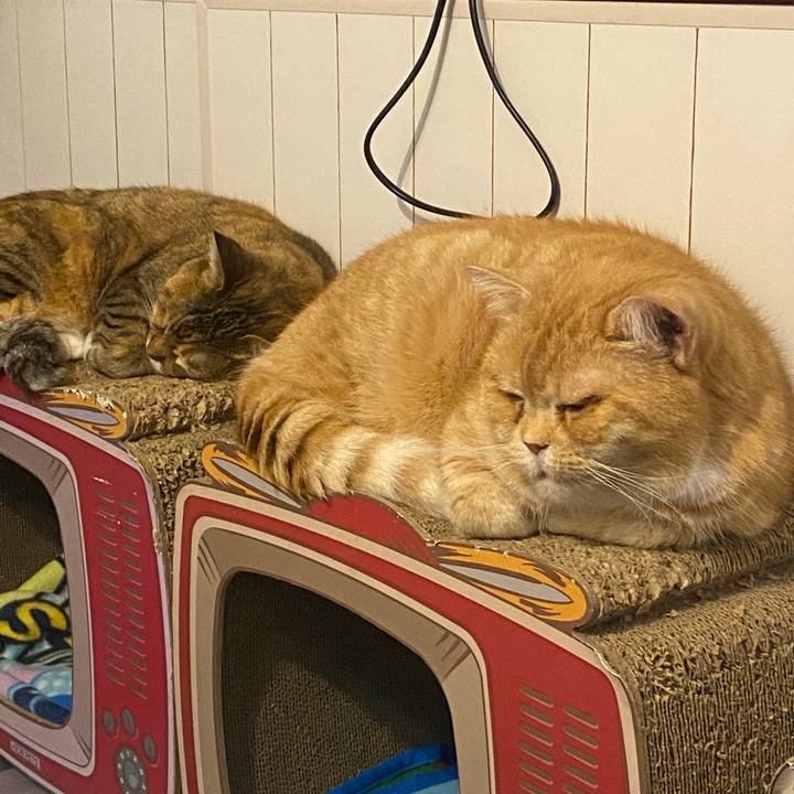 4cc741d0 b3bc 444c 8da9 4f3056dd3b42 1649689144568