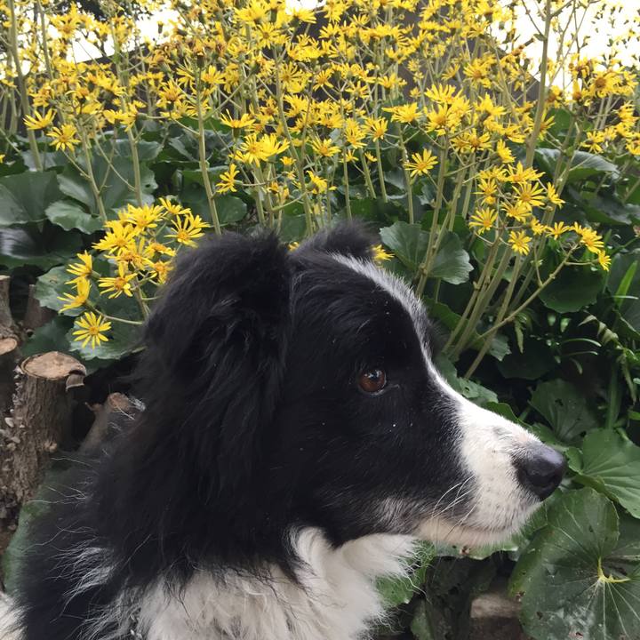 4cc765ca 26b1 4efa b825 867223531e20 1576713569871