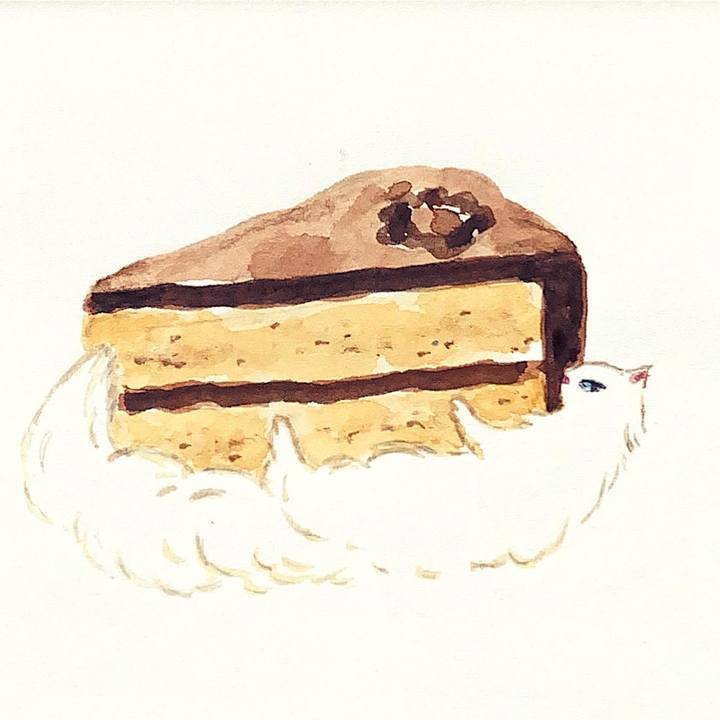 4cc76c48 433e 43a8 9774 cb05b1f3a39c 1646007780779