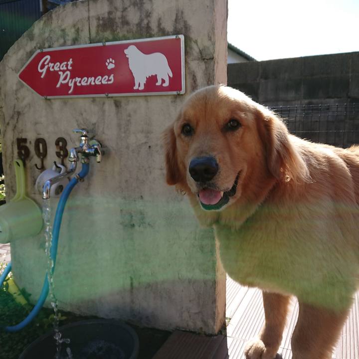 4cc787fd 9644 43ed 8e66 a1c357f385cb 1572254800586