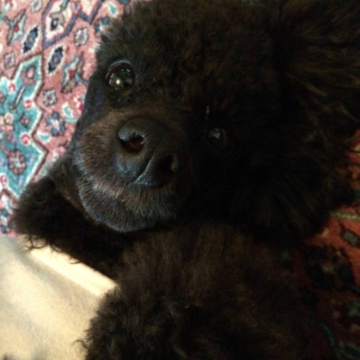 4cc7a7f4 1577 4bb3 b8fb 28f0de8517e2 1569913832951