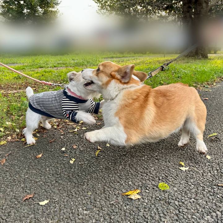 4cc7ad9b 542f 49d6 b150 d05c74541679 1697279955966