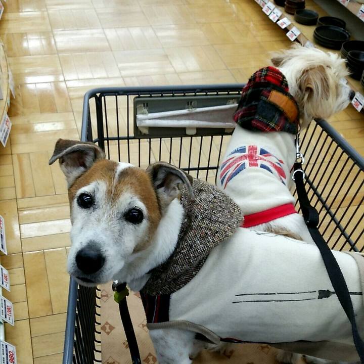 4cc7cd9f 0fe5 42f8 9f20 261950505ef5 1519552883653