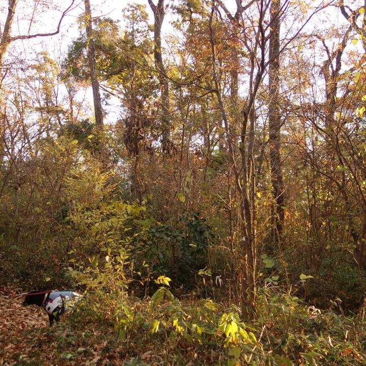 4cc7da41 65d8 47d1 ac72 f57f815c183f 1734132278143