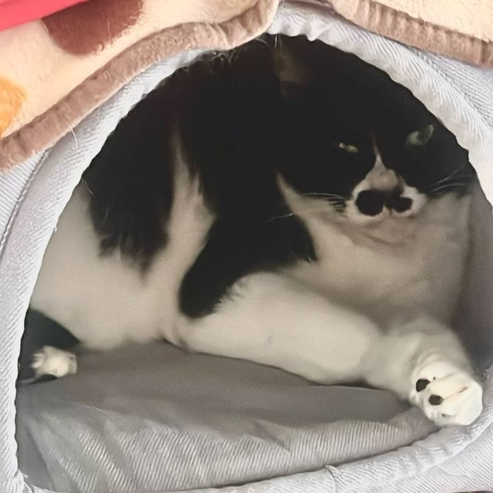 4cc7dd0c b4f0 4342 802f d2b7e149ffcf 1707957407519