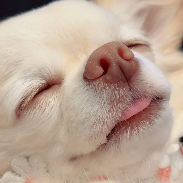 4cc80e7a c4c3 41dd 8ba0 c24e115a738f 1699442785466