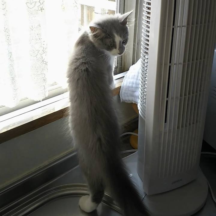 4cc82dad 9ca4 487c 90b9 bb30fa98fcc7 1564785017375