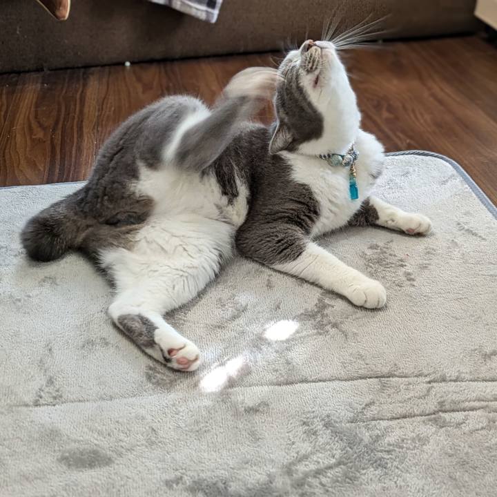 4cc83927 7f35 44c2 8f2f 45434143e23d 1727057494414