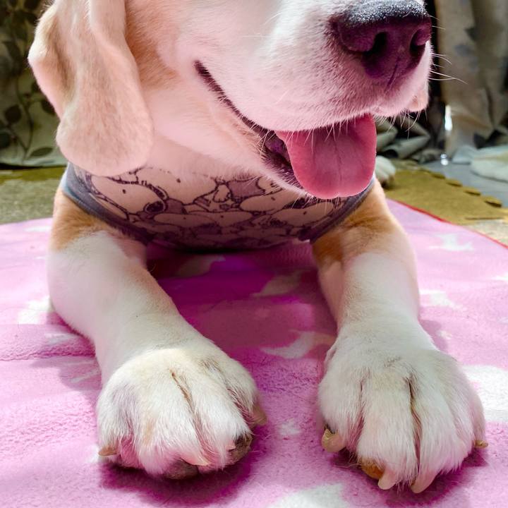 4cc84286 8eb0 45f6 bd60 357e67b22b0f 1626491585863