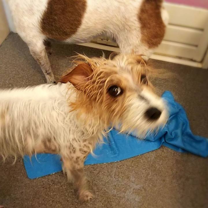 4cc84ee8 48ca 4213 8518 759752ab6f3c 1563017901238