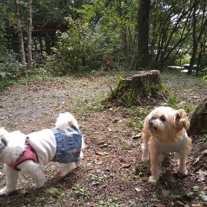 4cc85e58 4235 4ace 9001 5f037575b794 1600904561357