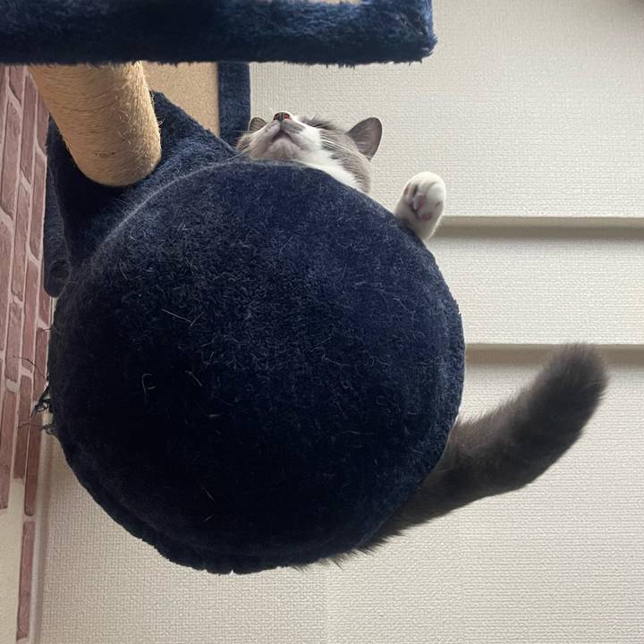 4cc8921c 4982 49d3 baac 4e11afc261cb 1754123625761