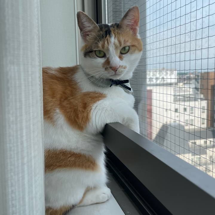 4cc8dcf7 8a57 430c 9a0b ed711e62076e 1686181041303