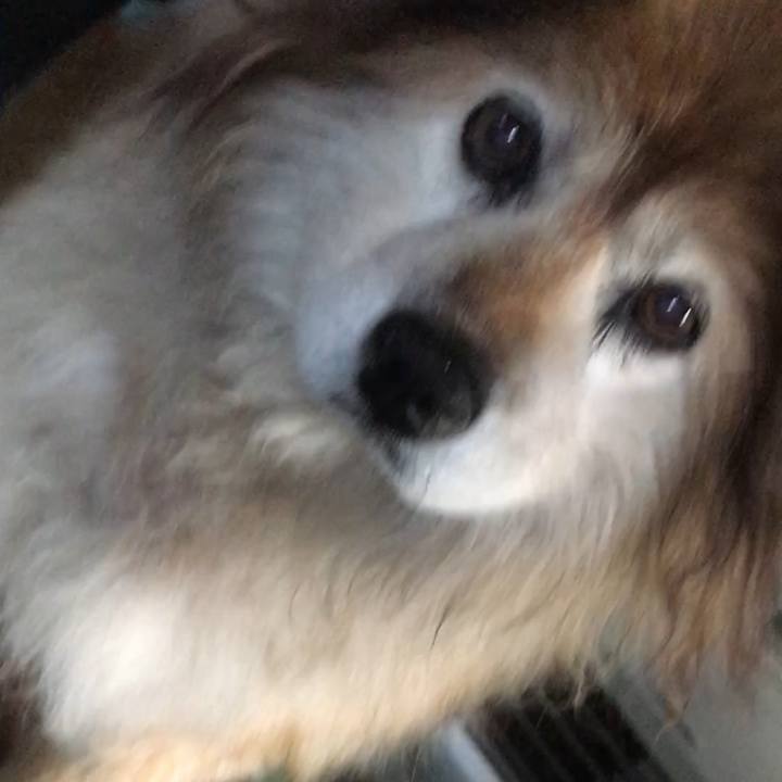 4cc8fde0 2808 4a63 9a15 0b054b6912fc 1640163500592