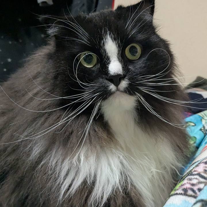 4cc9195d 8a11 4706 8c56 d7721e45bd9d 1763369231203