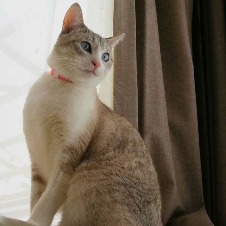 4cc92e69 f60c 489b bfa2 3d8217593279 1520166677833